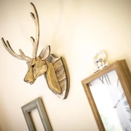 Spazioso Ed Accogliente A Pochi Passi Dal Centro *