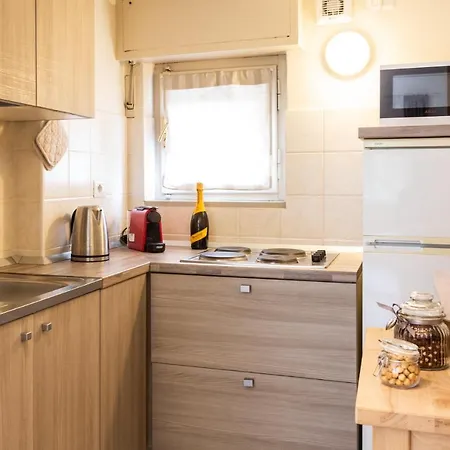 Spazioso Ed Accogliente A Pochi Passi Dal Centro Лимоне-Пьемонте