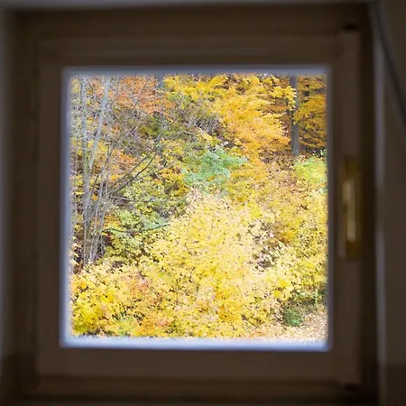 Spazioso Ed Accogliente A Pochi Passi Dal Centro * Лимоне-Пьемонте