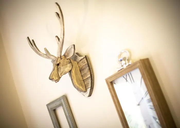 Spazioso Ed Accogliente A Pochi Passi Dal Centro *